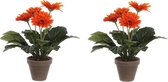 2x stuks gerbera kunstplanten oranje in keramiek pot H35 cm - Kunstplanten/nepplanten met bloemen