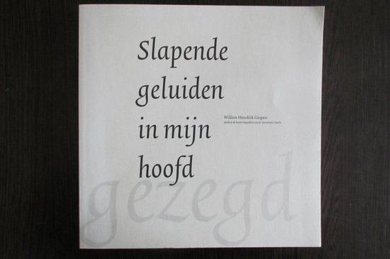 Slapende geluiden in mijn hoofd