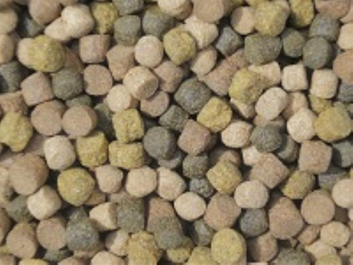 Koivoer Top mix 6 mm ( 10 liter emmer )