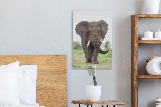 Peintures sur toile - Éléphant venant en sens inverse - 20x30 cm - Décoration murale