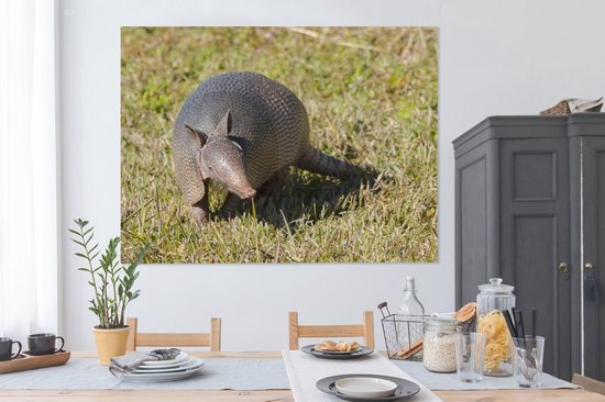 Toile de tatou dans l'herbe 2cm 160x120 cm - Tirage photo sur toile (Décoration murale salon / chambre) / Animaux sauvages Peintures sur toile XXL / Groot format!