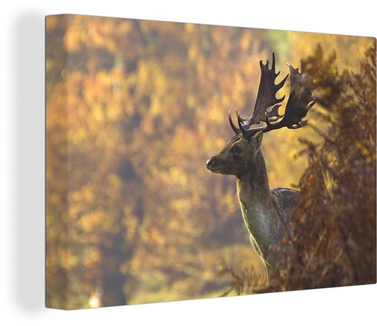 Promenade matinale d'un cerf en automne toile 2cm 30x20 cm - petit - Tirage photo sur toile (Décoration murale salon / chambre) / Animaux sauvages Peintures sur toile
