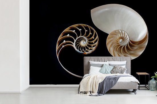 Symbole Yin et Yang de fotobehang escargot