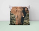 Sierkussen - Olifant - Woon accessoire - 50 x 50 cm
