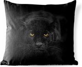 Buitenkussens - Tuin - Portret van een luipaard op een zwarte achtergrond - 40x40 cm