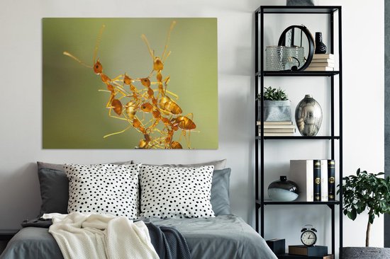 Toile Peinture Fourmis - Oranje - Animaux - 120x90 cm - Décoration murale