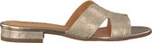 Notre-V 2213 Slippers - Dames - Goud - Maat 38