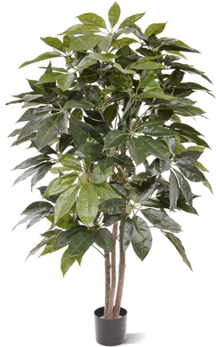 maxifleur Kunstplanten Scheflera Amate kunstboom 150cm Groen