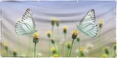 Tuinposter - vlinders van dichtbij - zon- en waterbestendig - - 150x75 cm
