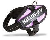 WERELD BEKENDE JULIUS K9 IDC POWERTUIG VOOR TEKSTLABELS ROZE MAAT 1