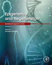 Translational Epigenetics 11 - Epigenetics and Regeneration