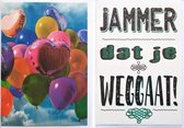 2 Wenskaarten - Jammer dat je weggaat + Blanco Wenskaart Ballonnen – 12 x 17 cm