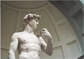 De David van Michelangelo Buonarotti in Florence - Foto op Forex - 80 x 60 cm