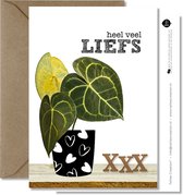 Tallies Cards - greeting  - wenskaarten - Liefs - Plant  - Set van 4 ansichtkaarten - valentijnskaart - valentijn  - moeder - mama - liefde - Inclusief kraft envelop - 100% Duurzaam
