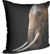 Aziatische olifant op zwarte achtergrond - Foto op Sierkussen - 40 x 40 cm