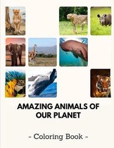 Amazing Animals of our Planet