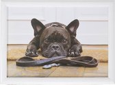 2x Schootkussens/laptrays schattige Franse bulldog honden print 43 x 33 cm - Schoottafels - Dienbladen voor op schoot