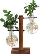 Vases à boutures de Plantes de Luxe WiseGoods - Décoration d'intérieur - Intérieur et extérieur - 2 Vases - Plantes et boutures - Stekstation - Bois