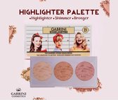 Contour Kit | Gabrini Highlighter 3 in 1 | Profusion Conceal Palette | B