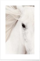 JUNIQE - Poster White Horse -40x60 /Grijs & Wit