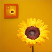 Tuinposter - Bloem - Zonnebloem in oranje / zwart / geel / bruin 100 x 100 cm