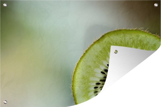 Tuindecoratie Kiwi - Zaadjes - Fruit - 60x40 cm - Tuinposter - Tuindoek - Buitenposter