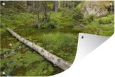 Tuindecoratie Vijver in de bossen van het Nationaal park Tiveden in Zweden - 60x40 cm - Tuinposter - Tuindoek - Buitenposter