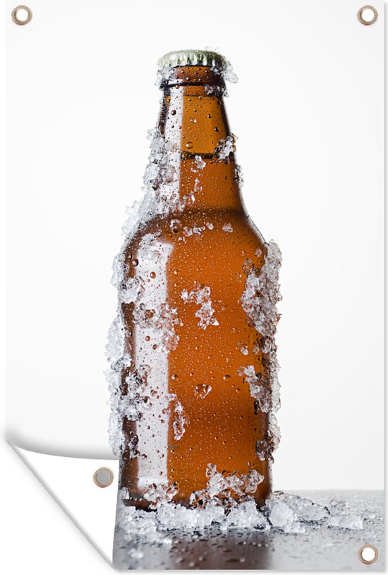 Bouteille de bière dans le jardin de glace affiche toile en vrac 40x60 cm -  petit -... | bol.com