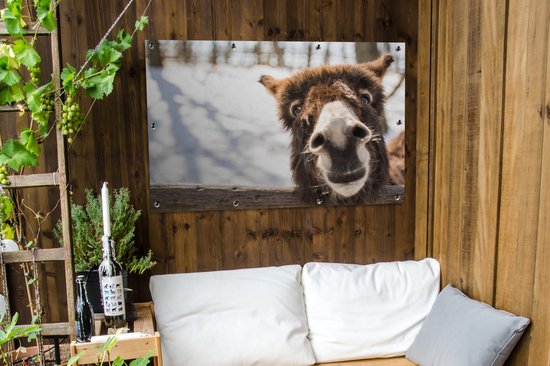 Curious chevalet affiche de jardin en vrac 120x80 cm - Toile de jardin / Toile d'extérieur / Peintures pour l'extérieur (décoration de jardin)