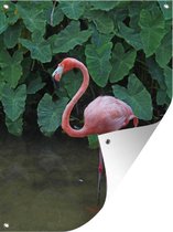 Tuinschilderij Een flamingo staat in het ondiepe water - 60x80 cm - Tuinposter - Tuindoek - Buitenposter