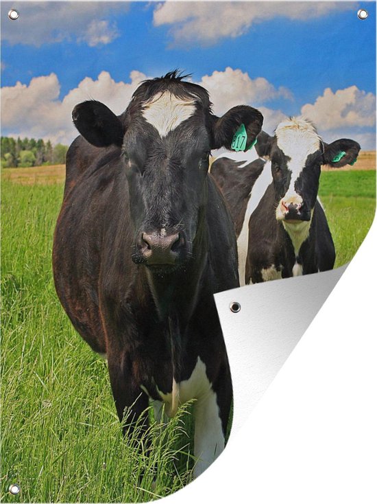 Portrait de deux vaches frisonnes affiche de jardin 60x80 cm - Toile de jardin / Toile d'extérieur / Peintures d'extérieur (décoration de jardin)