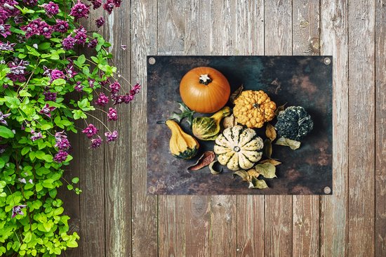 Potirons sur fond rouillé affiche de jardin toile en vrac 80x60 cm - Toile de jardin / Toile d'extérieur / Peintures d'extérieur (décoration de jardin)