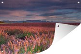 Muurdecoratie Lavendelveld bij een kalme zonsondergang - 180x120 cm - Tuinposter - Tuindoek - Buitenposter