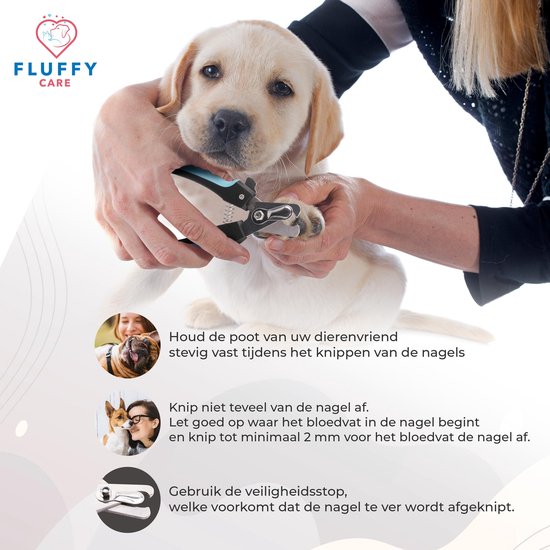 Een gele labrador puppy wordt vastgehouden door handen, terwijl zijn nagels geknipt worden met een nagelknipper met blauwe handvatten.