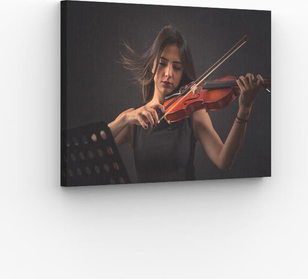 Affiche Déco' Humoristique Chèvre Violoniste - Poster Papier Mat 200g, Art Graphique, Sans Cadre
