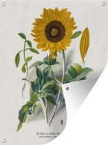 Muurdecoratie buiten Illustratie - Vintage - Zonnebloem - 120x160 cm - Tuindoek - Buitenposter