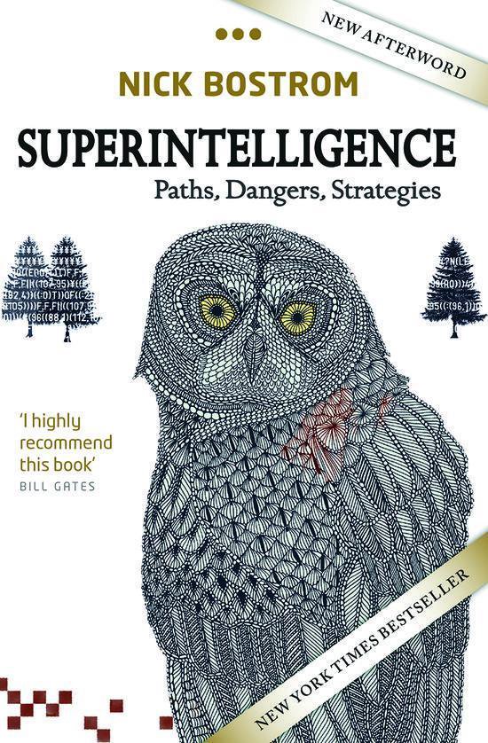 superintelligence paths dangers strategies review