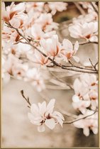 JUNIQE - Poster met kunststof lijst Magnolias 1 -13x18 /Bruin & Ivoor