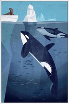 JUNIQE - Poster met kunststof lijst Vintage orka -13x18 /Blauw