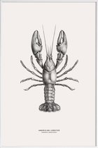 JUNIQE - Poster in kunststof lijst American Lobster -40x60 /Grijs &