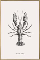 JUNIQE - Poster met kunststof lijst American Lobster -40x60 /Grijs &