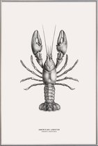 JUNIQE - Poster met kunststof lijst American Lobster -30x45 /Grijs &