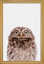 JUNIQE - Poster met houten lijst Owl -40x60 /Bruin