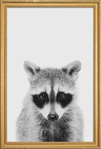 JUNIQE - Poster met houten lijst Raccoon Classic -30x45 /Wit & Zwart