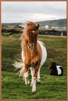 JUNIQE - Poster met kunststof lijst Shetland Ponies -13x18 /Bruin &