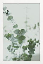 JUNIQE - Poster in houten lijst Eucalyptus Green 2 -30x45 /Groen & Wit