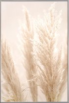 JUNIQE - Poster met kunststof lijst Pampas Reed 8 -60x90 /Ivoor & Wit