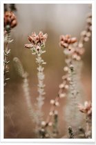 JUNIQE - Poster Nature Out Of Focus -30x45 /Bruin & Roze