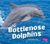 Marine Mammals - Bottlenose Dolphins
