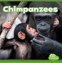 Mammals In the Wild - Chimpanzees